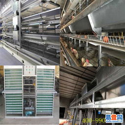 中區(qū)專業(yè)機(jī)械設(shè)備安裝服務(wù) 高效、安全、可靠